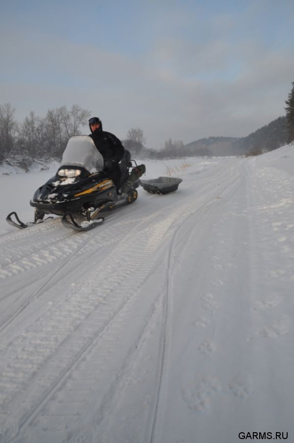 Охота на волка декабрь 2010 г. (Челябинская область)