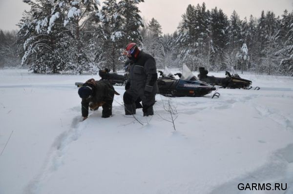 Охота на волка декабрь 2010 г. (Челябинская область)