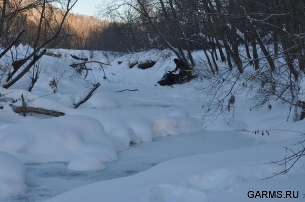 Охота на волка январь 2011 г. (Челябинская область)