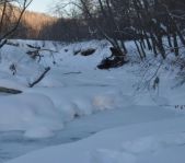 Охота на волка январь 2011 г. (Челябинская область)