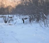 Охота на волка январь 2011 г. (Челябинская область)