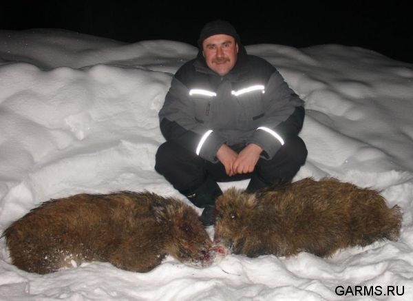 Зимняя охота январь-февраль 2011 г.(Челябинская область)