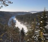 Зимняя охота январь-февраль 2011 г.(Челябинская область)