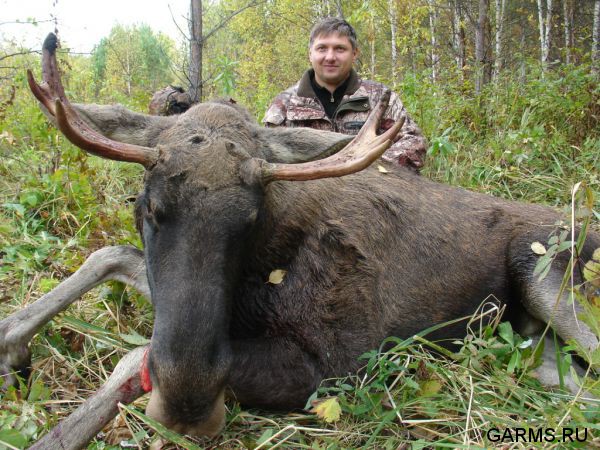 Охота на лося на реву сентябрь 2011г.(Челябинская область)