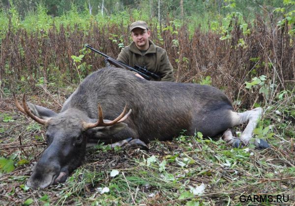 Охота на лося на реву сентябрь 2011г.(Челябинская область)