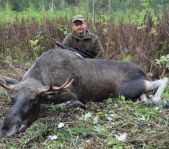 Охота на лося на реву сентябрь 2011г.(Челябинская область)