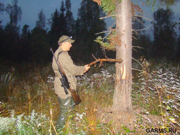 Охота на лося на реву сентябрь 2011г.(Челябинская область)