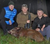 Охота на лося на реву сентябрь 2011г.(Челябинская область)