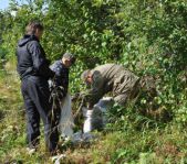 Охота на лося на реву сентябрь 2011г.(Челябинская область)