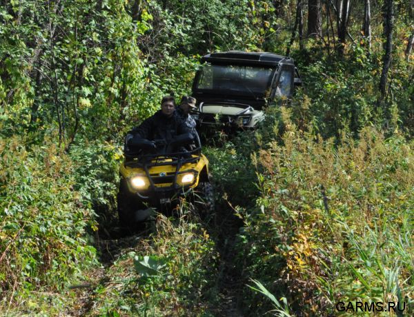 Охота на лося на реву сентябрь 2011г.(Челябинская область)