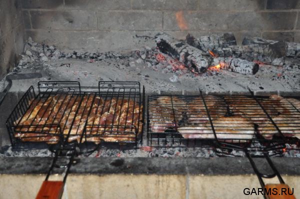 Охота на косулю ноябрь 2011г.(Курганская область)