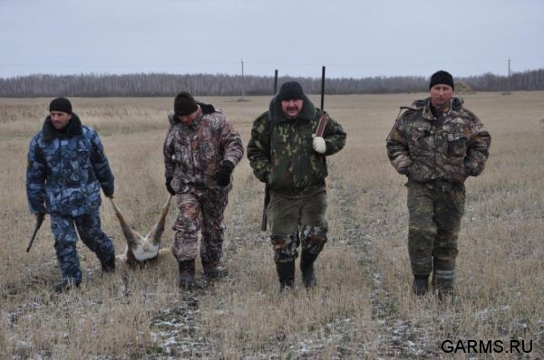Охота на косулю ноябрь 2011г.(Курганская область)