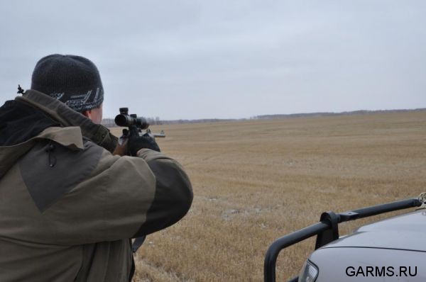 Охота на косулю ноябрь 2011г.(Курганская область)