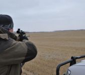 Охота на косулю ноябрь 2011г.(Курганская область)