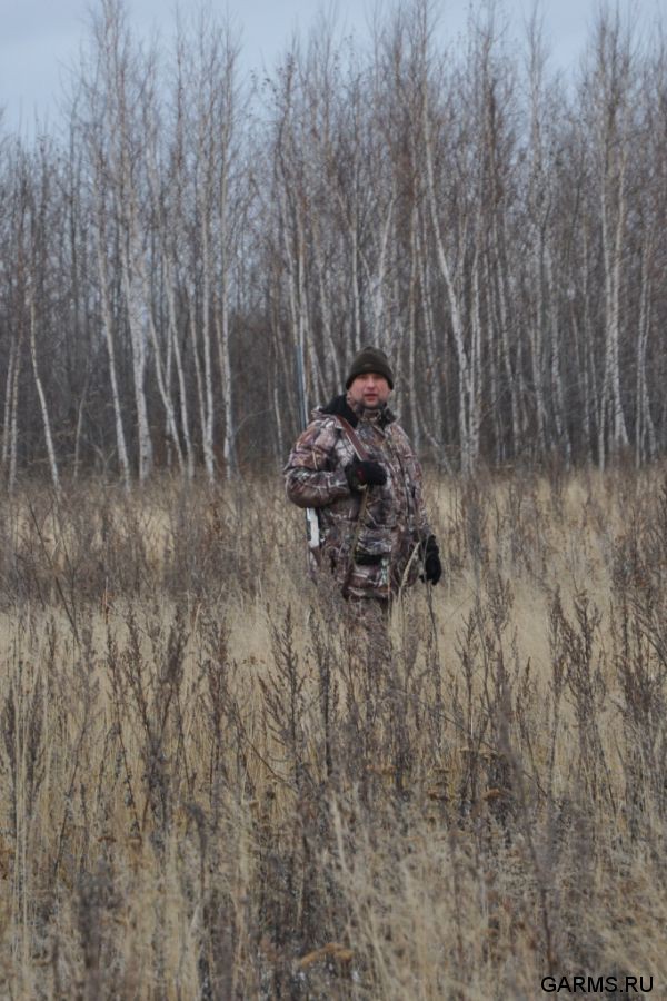 Охота на косулю ноябрь 2011г.(Курганская область)