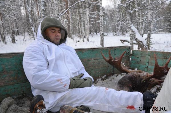 Загонная охота на лося ноябрь 2011 г.(Челябинская область)