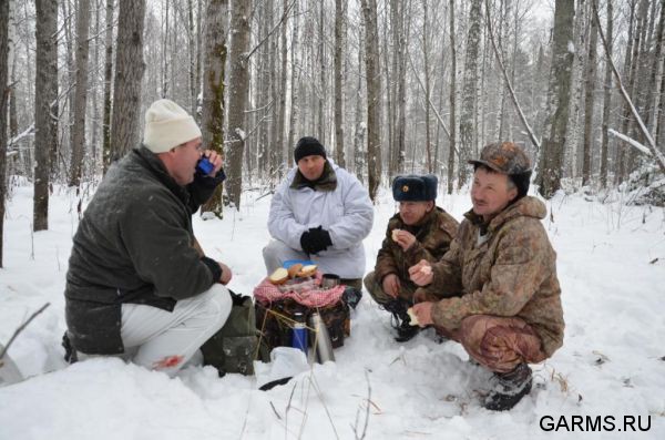 Загонная охота на лося ноябрь 2011 г.(Челябинская область)
