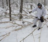Загонная охота на лося ноябрь 2011 г.(Челябинская область)