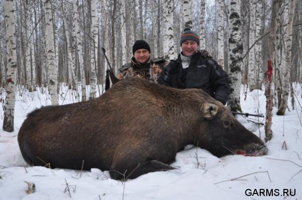 Зимняя охота декабрь 2011 г.(Челябинская область)