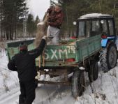 Зимняя охота декабрь 2011 г.(Челябинская область)