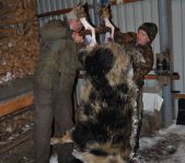 Зимняя охота декабрь 2011 г.(Челябинская область)