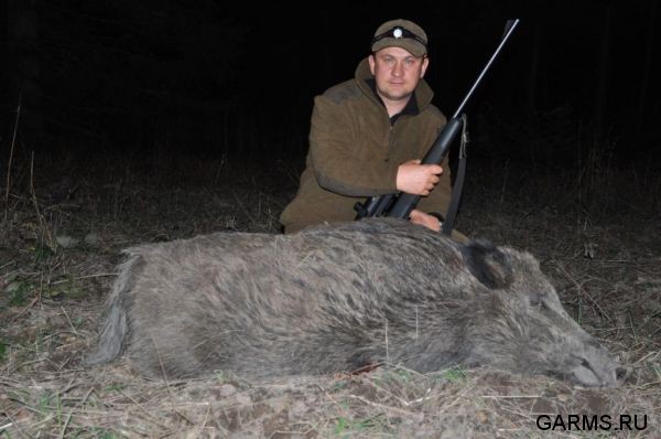 Охота на кабана и козла октябрь 1012 г.(Кург.и Чел. область)