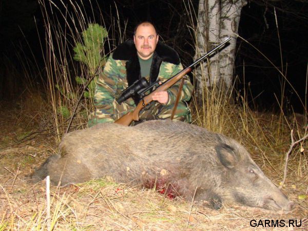 Охота на кабана и козла октябрь 1012 г.(Кург.и Чел. область)