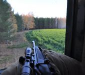 Охота на кабана и козла октябрь 1012 г.(Кург.и Чел. область)