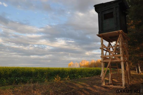 Охота на кабана и козла октябрь 1012 г.(Кург.и Чел. область)