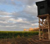 Охота на кабана и козла октябрь 1012 г.(Кург.и Чел. область)