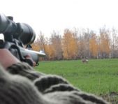 Охота на кабана и козла октябрь 1012 г.(Кург.и Чел. область)