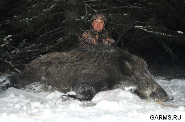 Охота на кабана и козла ноябрь 2012 г.(Челябинская область)
