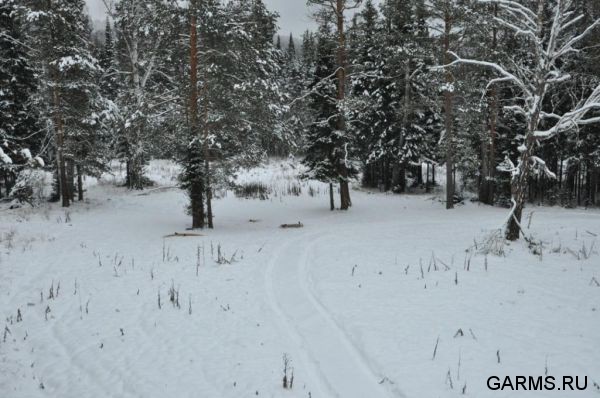 Охота на кабана и козла ноябрь 2012 г.(Челябинская область)