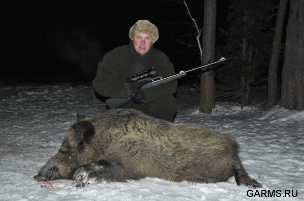 Охота на лисицу и кабана февраль 2013 г.(Челябинская область)