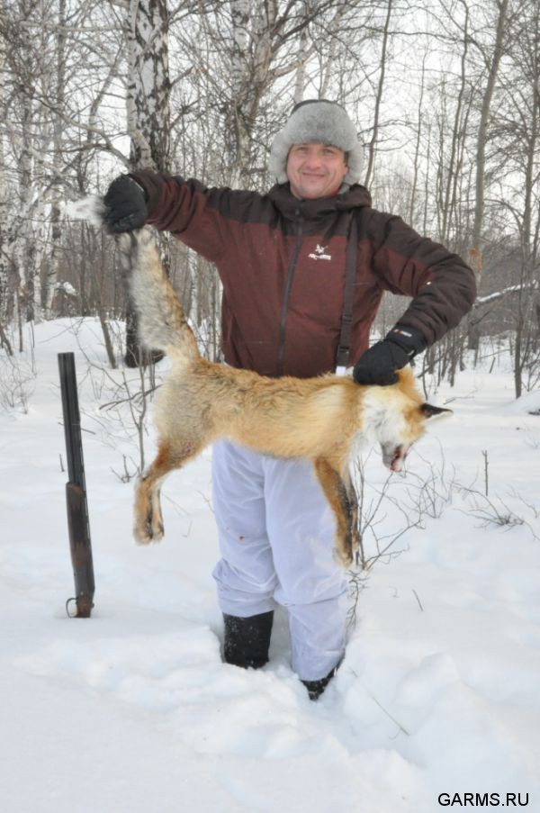 Охота на лисицу и кабана февраль 2013 г.(Челябинская область)