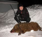 Охота на лисицу и кабана февраль 2013 г.(Челябинская область)