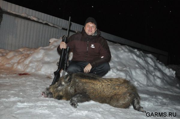 Охота на лисицу и кабана февраль 2013 г.(Челябинская область)