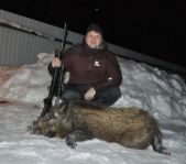 Охота на лисицу и кабана февраль 2013 г.(Челябинская область)