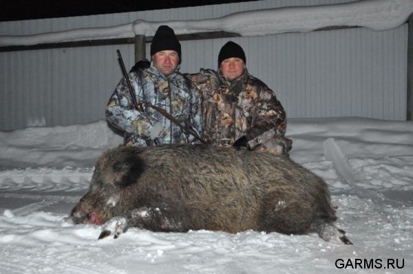 Охота на лисицу и кабана февраль 2013 г.(Челябинская область)