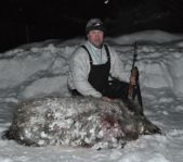 Охота на лисицу и кабана февраль 2013 г.(Челябинская область)