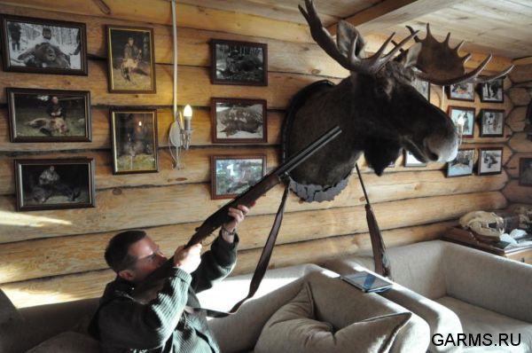 Охота на лисицу и кабана февраль 2013 г.(Челябинская область)