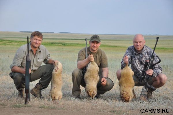 Охота на сурка июль 2013 г.(Челябинская область)