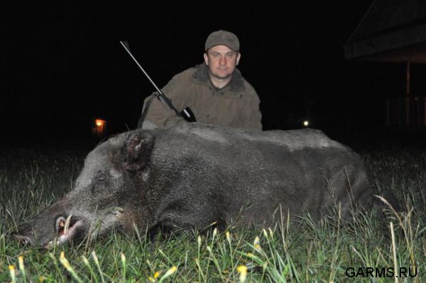 Охота на кабана август 2013 г.(Челябинская область)