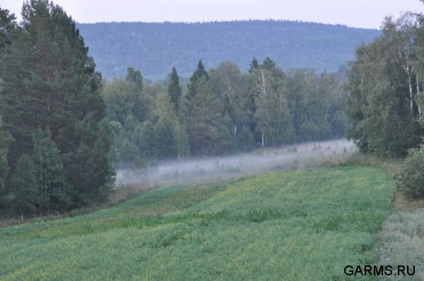 Охота на кабана август 2013 г.(Челябинская область)