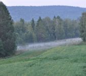 Охота на кабана август 2013 г.(Челябинская область)