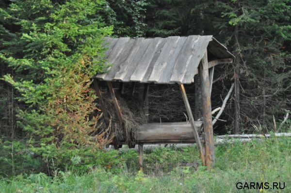 Охота на кабана август 2013 г.(Челябинская область)