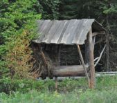 Охота на кабана август 2013 г.(Челябинская область)