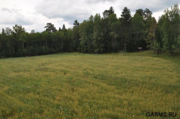 Охота на кабана август 2013 г.(Челябинская область)