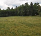 Охота на кабана август 2013 г.(Челябинская область)