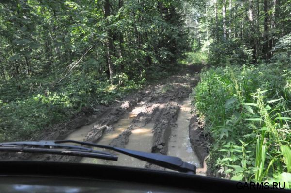 Охота на кабана август 2013 г.(Челябинская область)